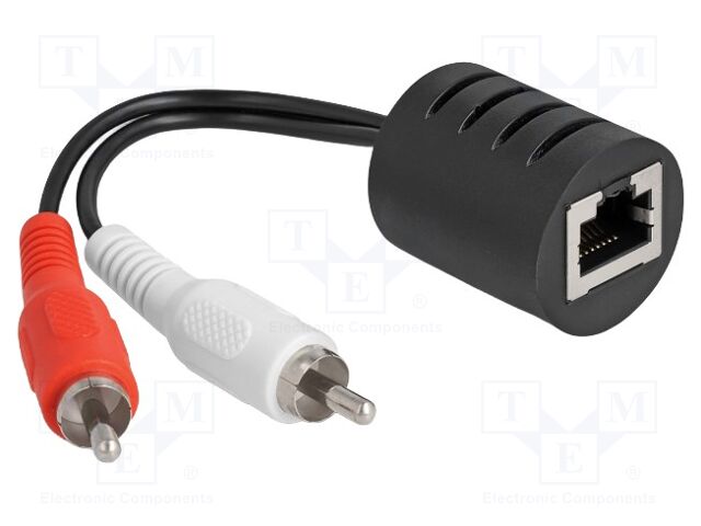 Adapter; RCA plug x2,RJ45 socket; PVC; Connector colour: black