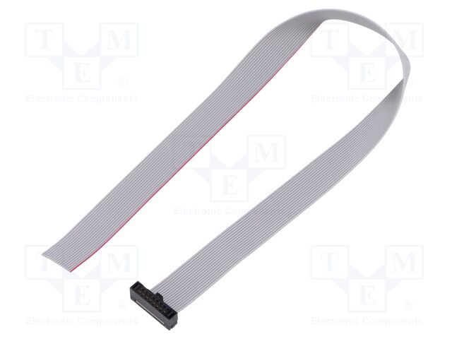 Ribbon cable with IDC connectors; Tape ph: 0.64mm; 254mm