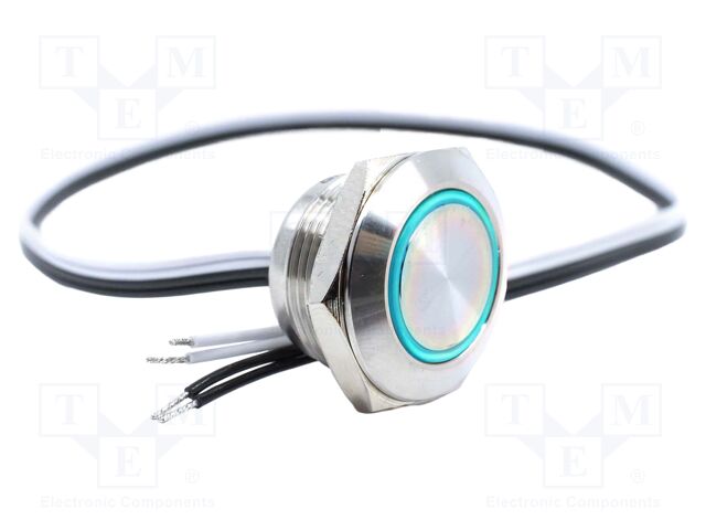 Switch: vandal resistant; SPST-NO; 0.05A/24VDC; IP65; OFF-(ON)