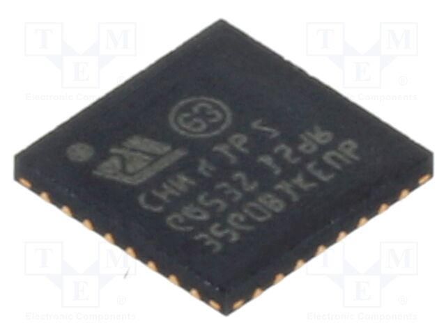 IC: ARM microcontroller
