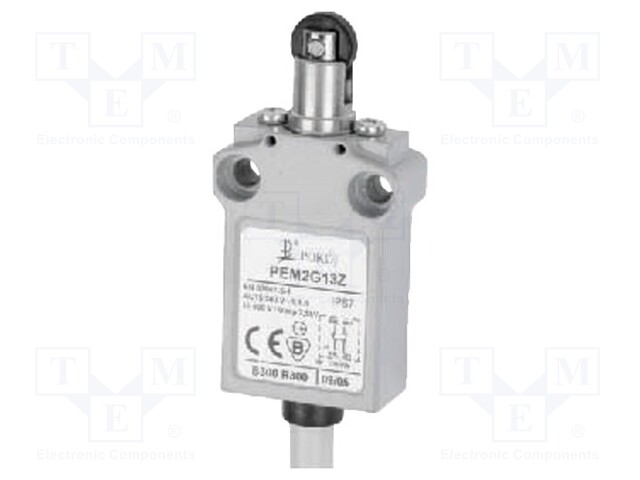 Limit switch; oblong plastic roller Ø12mm; NO + NC; 5A; lead 1m