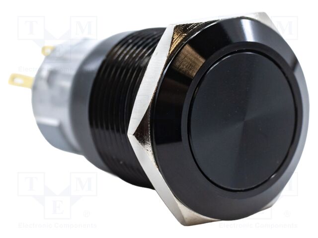 Switch: vandal resistant; DPDT; 2A/24VDC; IP67; ON-(ON); Ø19mm; PV4