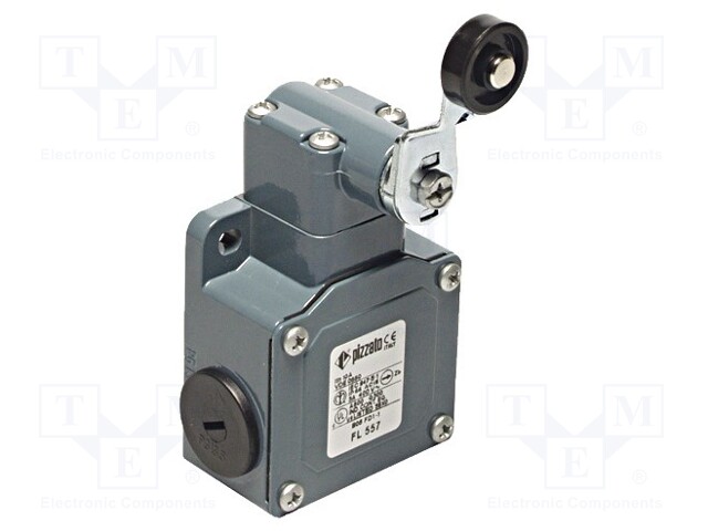 Limit switch; lever R 43mm, plastic roller Ø20mm; NO + NC; 10A