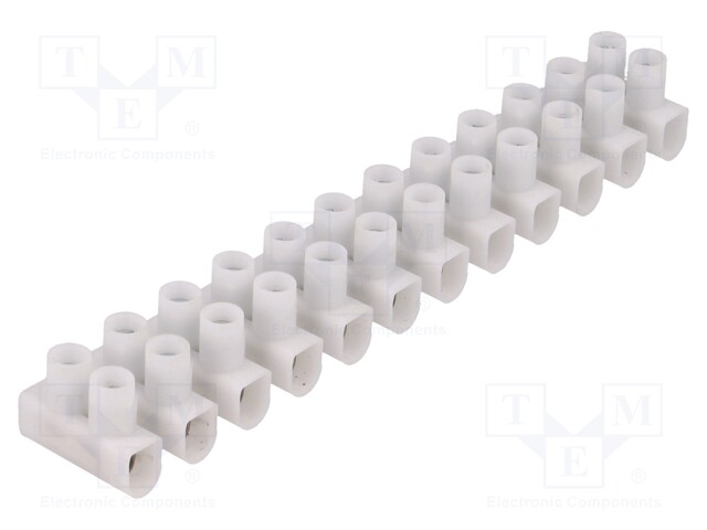 Terminal block; screw terminal; ways: 12; 1.5÷6mm2; terminals: 24