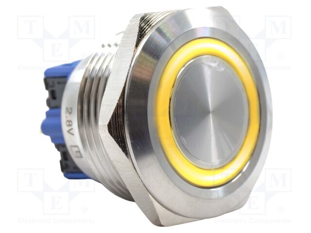 Switch: vandal resistant; DPST-NO + DPST-NC; 2A/48VDC; IP65; PV9