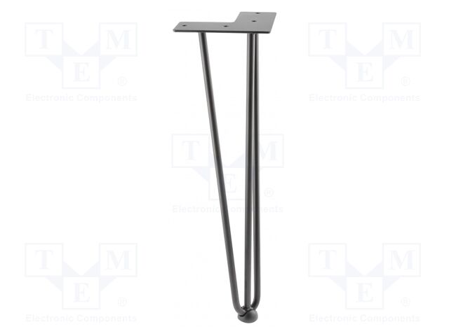 Foot