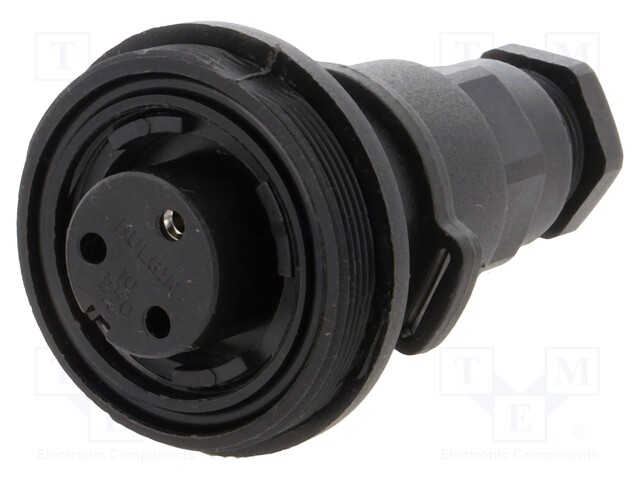 Connector: circular; plug; female; PIN: 3; Buccaneer Standard; IP68