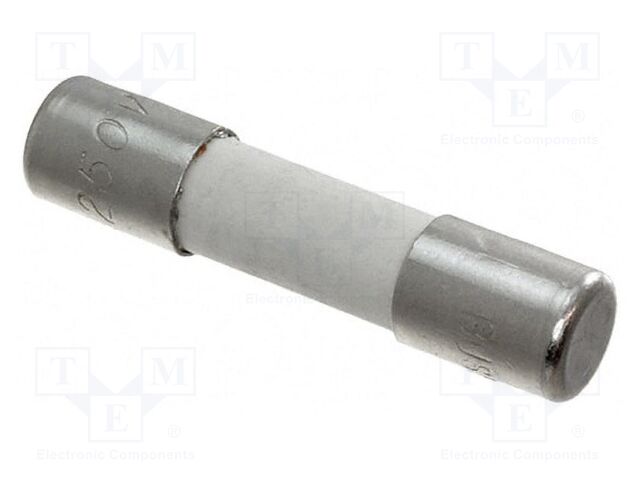 Fuse: fuse; quick blow; 15A; cylindrical; 6.3x32mm; ABS