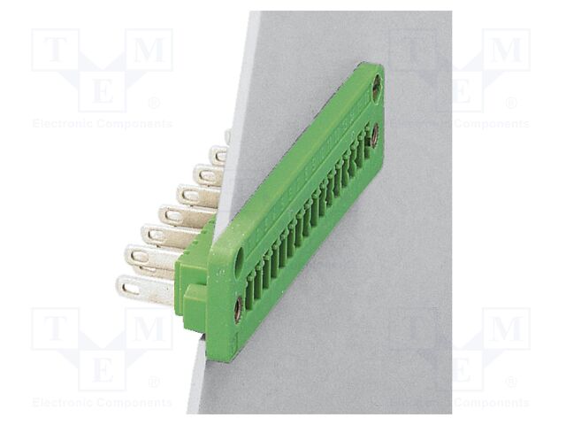 Pluggable terminal block; 3.81mm; ways: 10; straight; socket; male