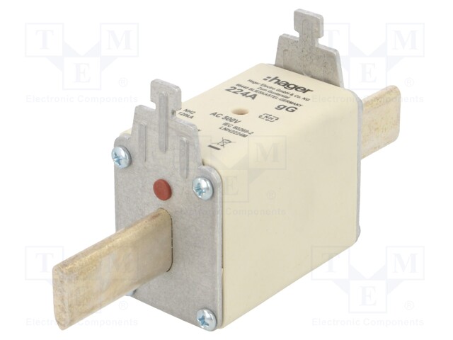 Fuse: fuse; gG; 224A; 500VAC; industrial; NH2