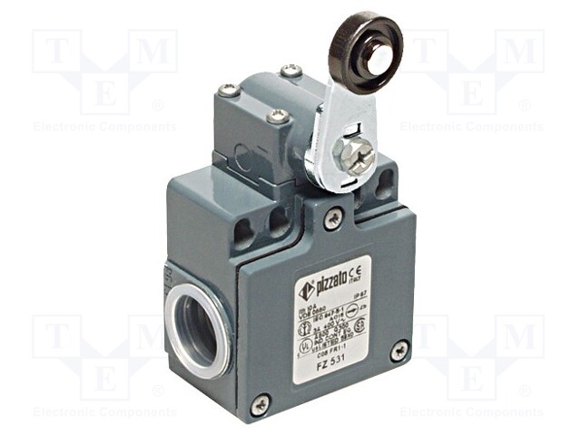 Limit switch; lever R 35mm, plastic roller Ø18mm; NO + NC; 10A