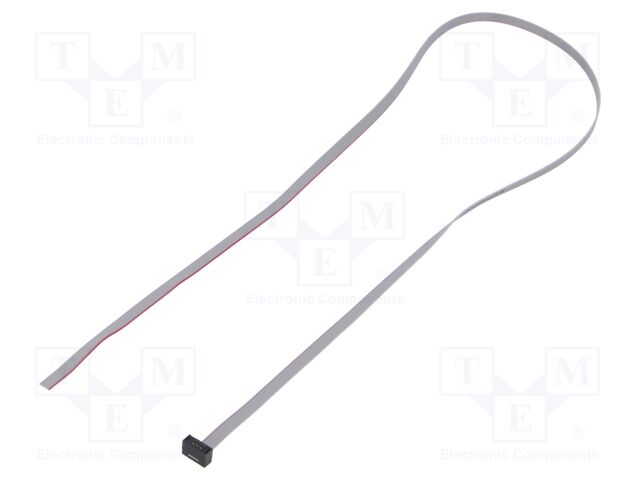 Ribbon cable with IDC connectors; Tape ph: 0.64mm; 508mm