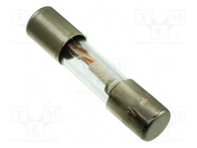 Fuse: fuse; time-lag; 250mA; 6.3x32mm