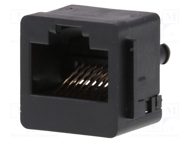 RJ45