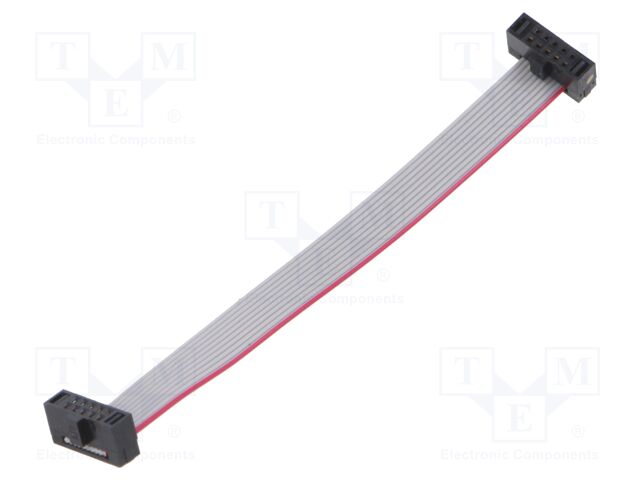 Ribbon cable with IDC connectors; Tape ph: 0.64mm; 76.2mm