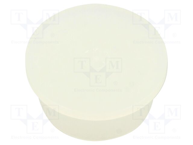 Accessories: stopper; H: 30.5mm; push-in; Flange dia: 36mm; natural