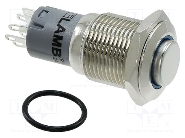 Switch: vandal resistant; Pos: 2; DPDT; 2A/48VDC; IP40; ON-(ON)