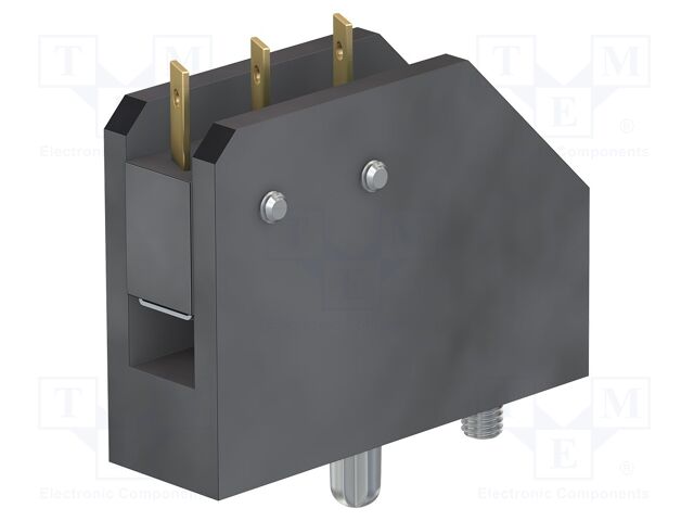 Accessories: switch; 10BV; ID/S10BV-÷,IS10BV-÷