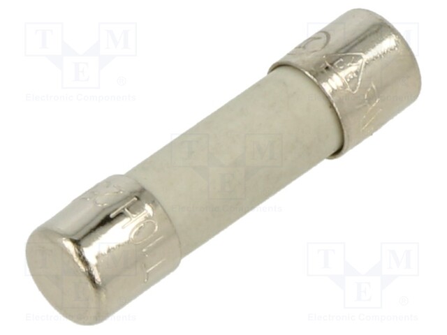 Fuse: fuse; time-lag; 10A; 250VAC; ceramic,cylindrical; 5x20mm