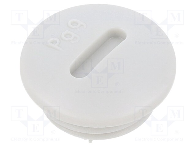 Stopper; PG9; IP56; Mat: polyamide; Body: light grey; Thread: PG; 6mm