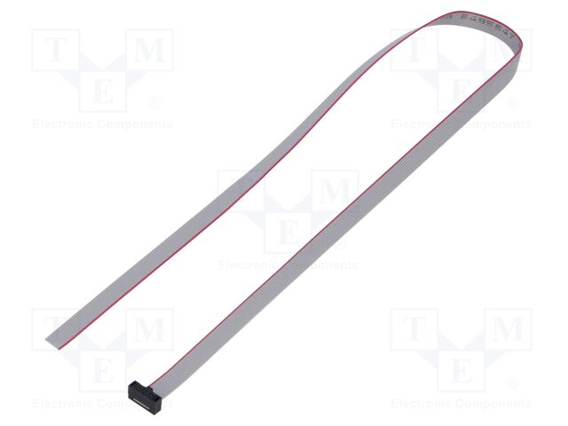 Ribbon cable with IDC connectors; Tape ph: 0.64mm; 431.8mm