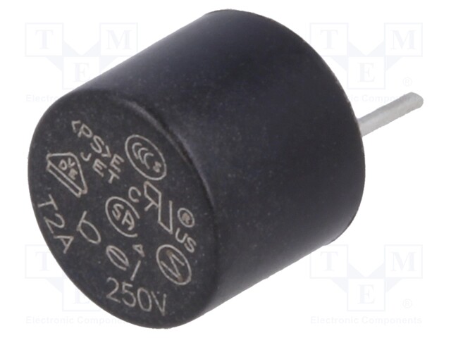 Fuse: fuse; time-lag; 2A; 250VAC; Pitch: 5.08mm; MRT