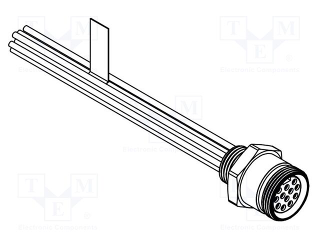 Connector: M12