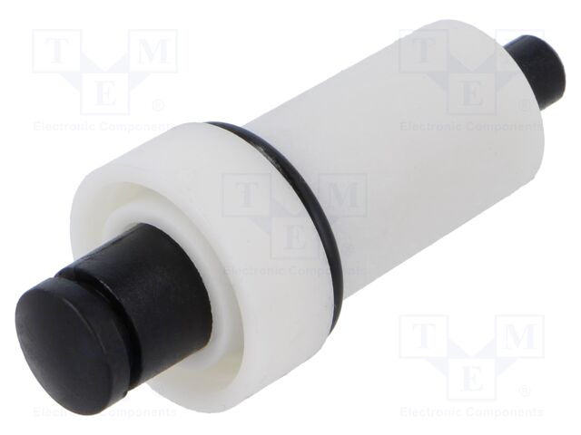 Accessories: plunger