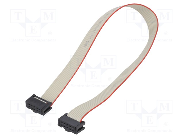 10CCT QF50 RIBBON CABLY ASSY 300mm