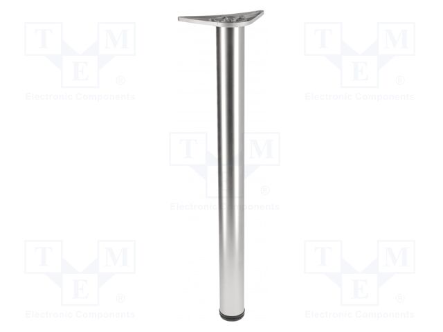 Foot