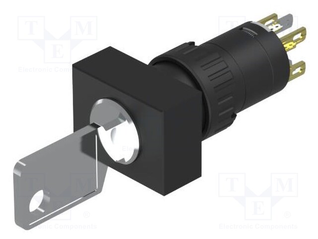 Switch: rotary with key; Stabl.pos: 2; NC + NO; Pos: 2; 51