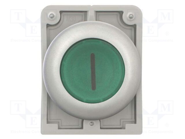 Switch: push-button; Stabl.pos: 2; 30mm; green; M22-FLED,M22-LED