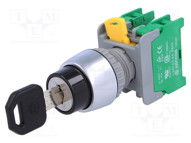 Switch: rotary with key; Stabl.pos: 3; NO x2; 3A/230VAC; 22mm; IP65