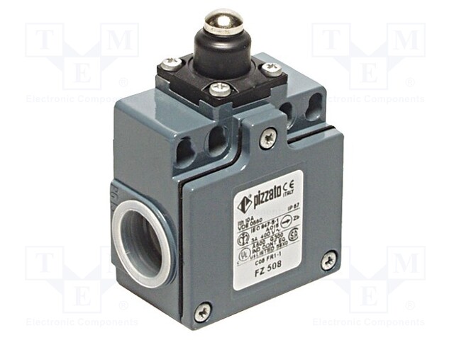 Limit switch; rubber seal,pin plunger Ø10mm; NO + NC; 10A; IP67