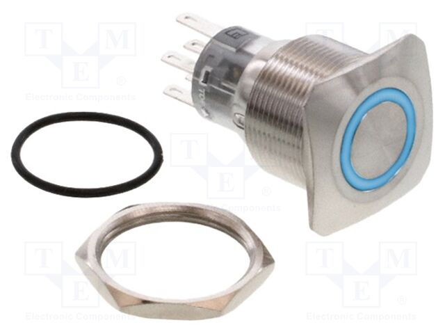 Switch: vandal resistant; DPDT; 2A/24VDC; IP65; ON-(ON); blue; PVS7