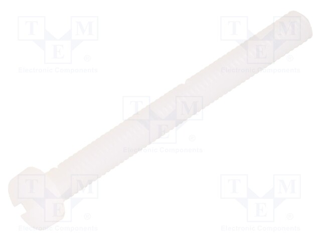 Screw; M4x40; 0.7; Head: cheese head; slotted; 1,3mm; polyamide