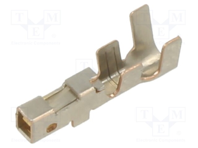 DYNAMIC D1000 REC CONT 2L GOLD
