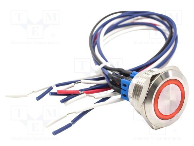 Switch: vandal resistant; DPST-NO + DPST-NC; 2A/48VDC; IP65; 12V