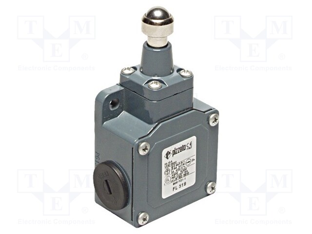 Limit switch; stainless steel sphere Ø12,7mm; NO + NC; 10A; IP67