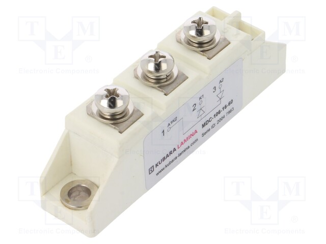 Module: diode; double series; 1.6kV; If: 106A; Ufmax: 1.35V; screw