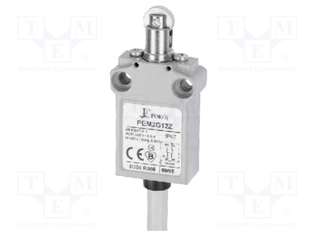 Limit switch; oblong metal roller Ø12mm; NO + NC; 5A; max.250VAC