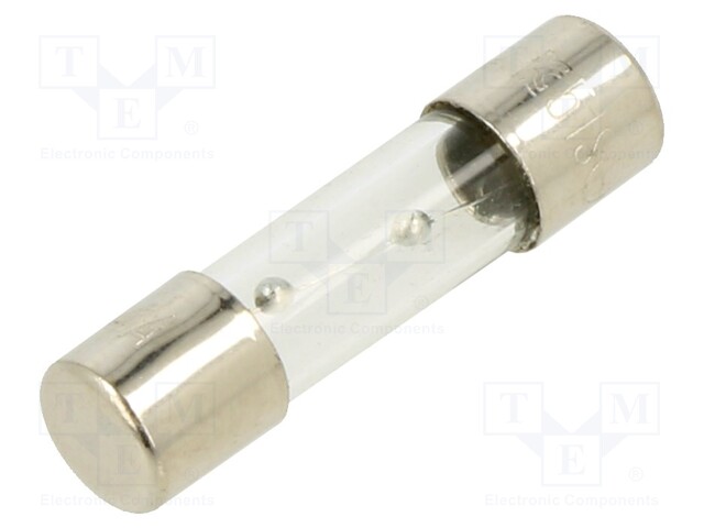 Fuse: fuse; time-lag; 400mA; 250VAC; glass; 20x5.2mm; brass; bulk