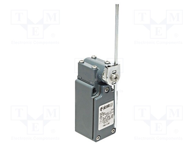 Limit switch; adjustable plunger, length R 19-116mm; NO + NC
