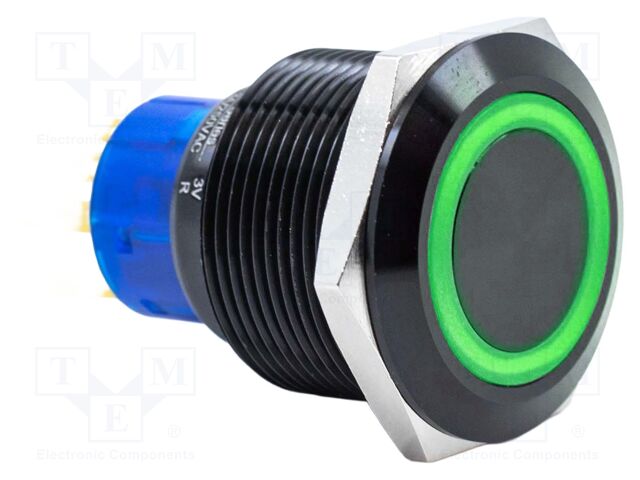 Switch: vandal resistant; DPDT; 3A/250VAC; IP67; ON-(ON); green; 3V