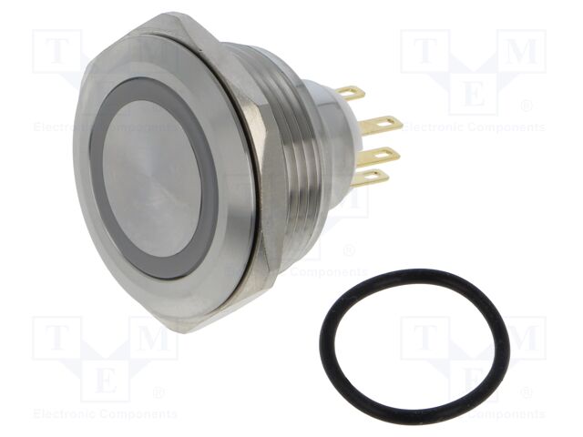 Switch: vandal resistant; Pos: 2; SPDT; 3A/220VAC; 5A/24VDC; IP65