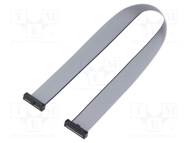 Ribbon cable with IDC connectors; IDC,both sides; Tape ph: 1mm
