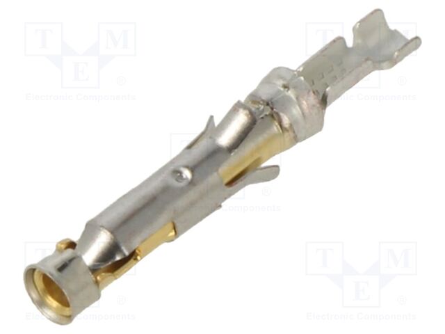 .062 DIA SOCKET ASSY 3+ (LP)