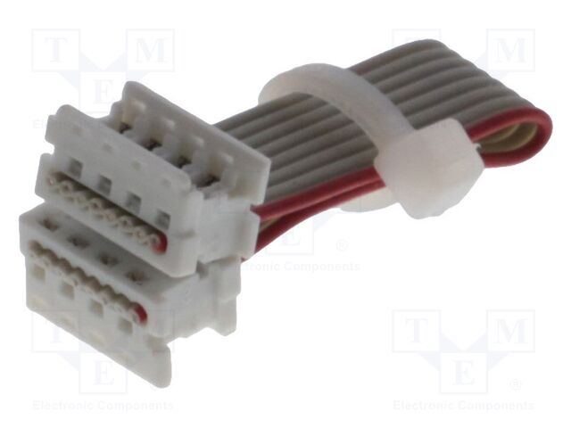 Cable: ribbon cable with IDC