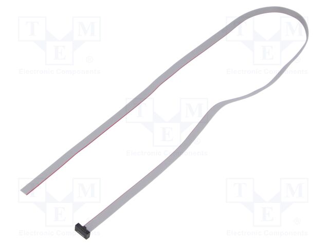 Ribbon cable with IDC connectors; Tape ph: 0.64mm; 609.6mm
