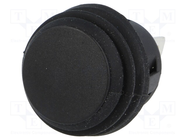 Switch: push-button; Pos: 2; DPST-NO; 6A/250VAC; black; none; IP65